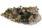 Large, Smoky Quartz Crystal Cluster - Brazil #136171-2